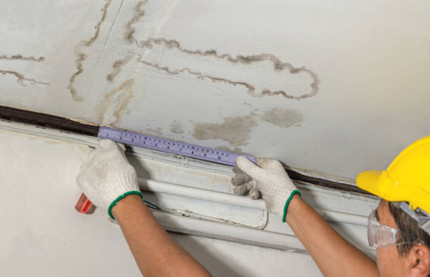 Reliable Mold Remediation contractor in Goshen, UT by Water Damage Irwin
